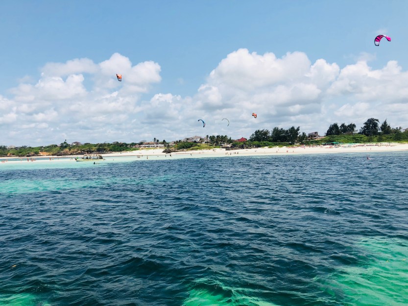 3134388A-E647-447D-89B9-3A66C07EFF87