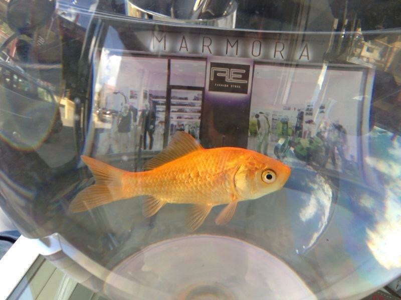 1F35DA56-2379-461B-9945-1E98200113D1